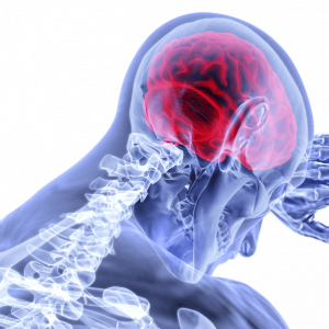 Krydsord er med til at holde hjernen i gang